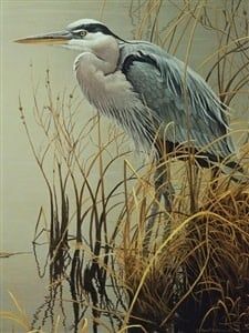 Cobble Hill Great Blue Heron 500 piece