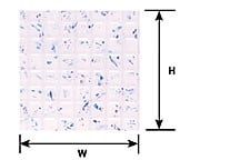 Plastruct  3/16" SQUARE TILE SHEET