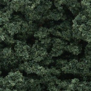 Woodland Bushes Clump Foliage Dr Green