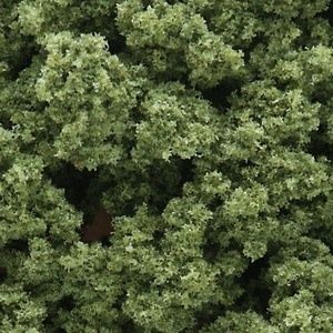 Woodland Bushes Clump Foliage Lt Green