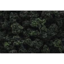 Woodland Bushes Clump Foliage Forest Blend