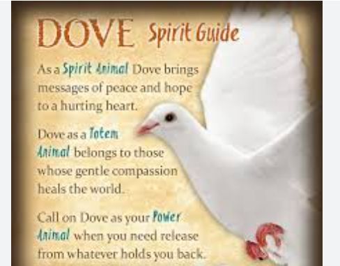 Zorbitz Spirit Animal - Dove