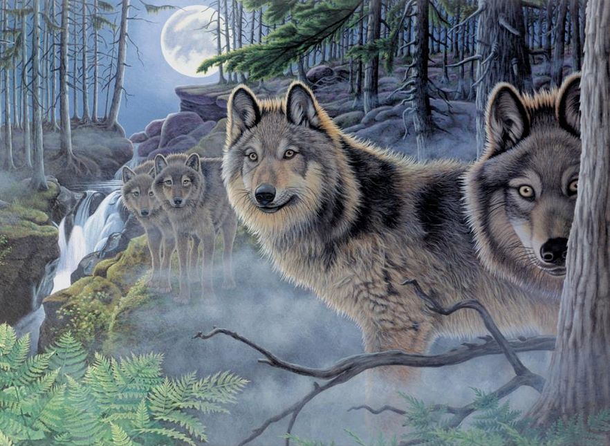 Royal &amp; Langnickel Mystical Moonlight - Paint By Number