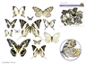 Forever In Time Butterfly Die Cuts with Foil Accents White 33pc