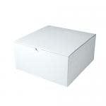 Retail Supplies 10x10x6in White Pop N Lock Box