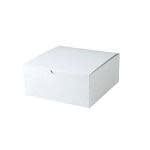 Retail Supplies 6x6x4in White Pop N Lock Box