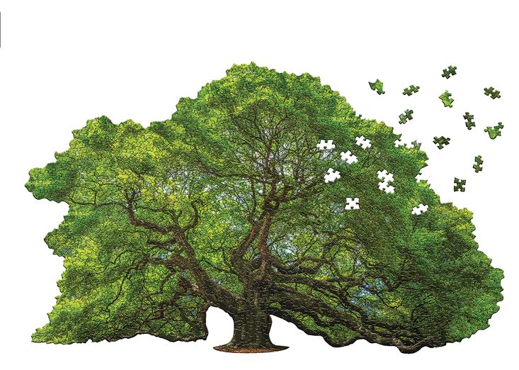 Madd Capp I AM Oak 1000 piece