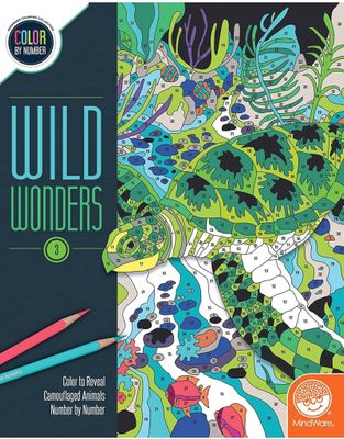 MindWare CBN Wild Wonders Book 3