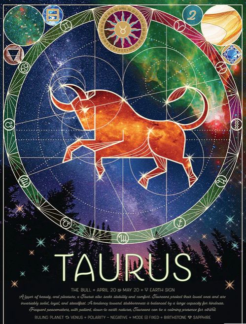 Cobble Hill Taurus 500 piece