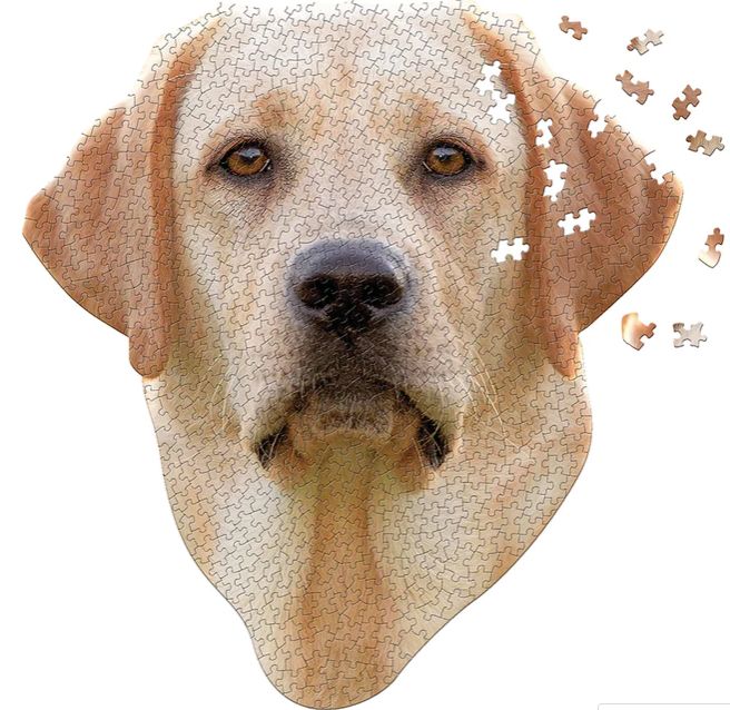 Madd Capp I AM Lab 550 piece