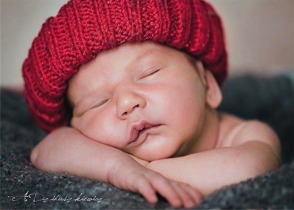 Trefl Little Sleepyhead 500 piece