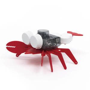 Play Steam Ocean Friends Lobster &amp; Octopus