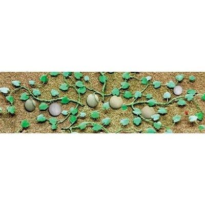JTT Scenery HO-Scale Cantaloupe Patch 6pc