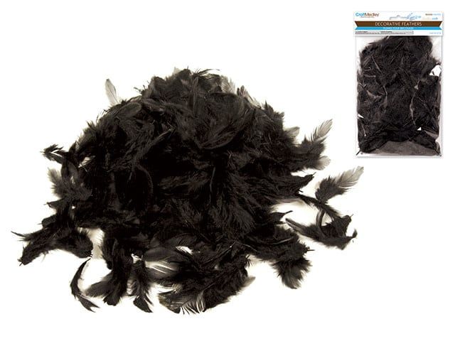 CraftMedley 2 to 3.5in Feathers Black