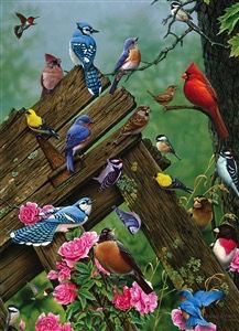 Cobble Hill Birds of the Forest 1000 piece