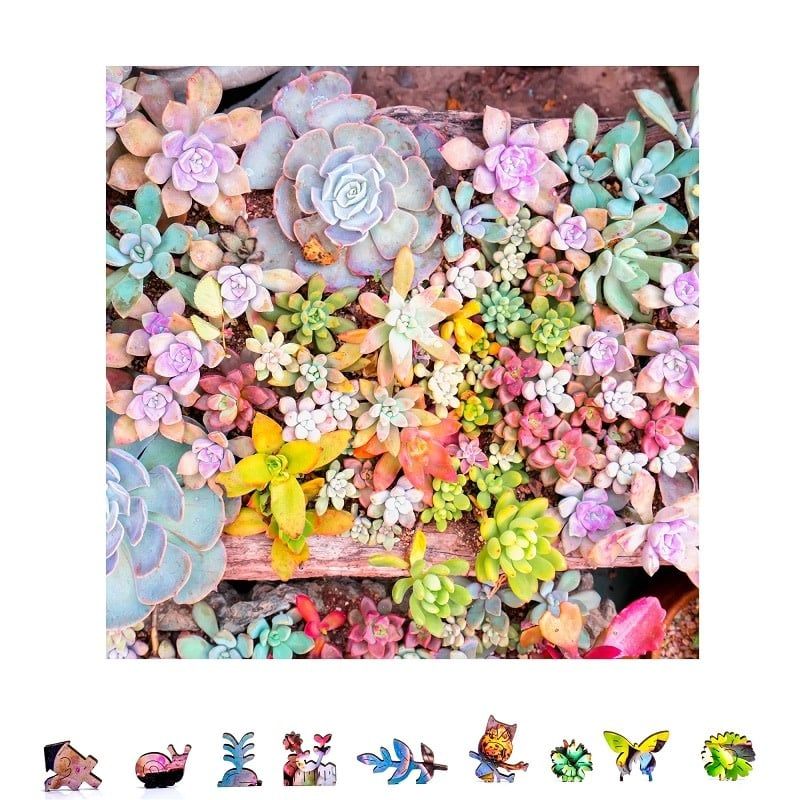 Zen Chalet Garden Succulents Wooden Puzzle 500 piece