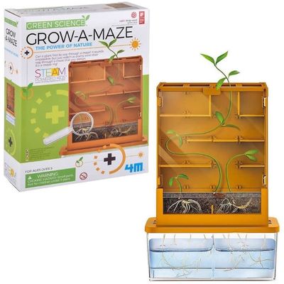 4M Grow-A-Maze with Plants Green Science Kit