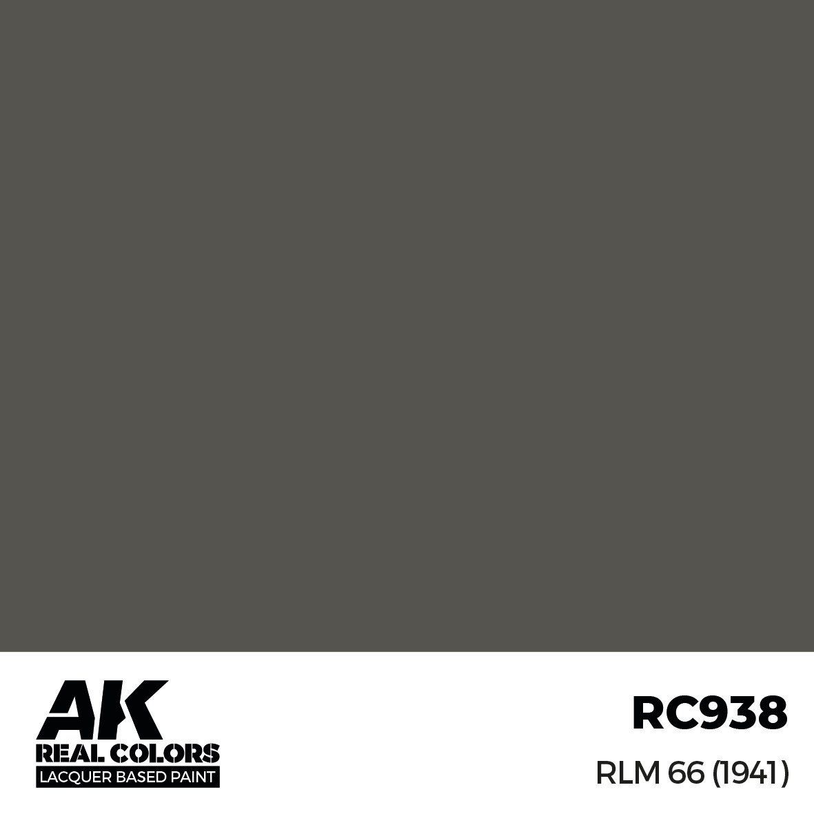 AK Interactive Real Colors RLM 66 1941 17ml