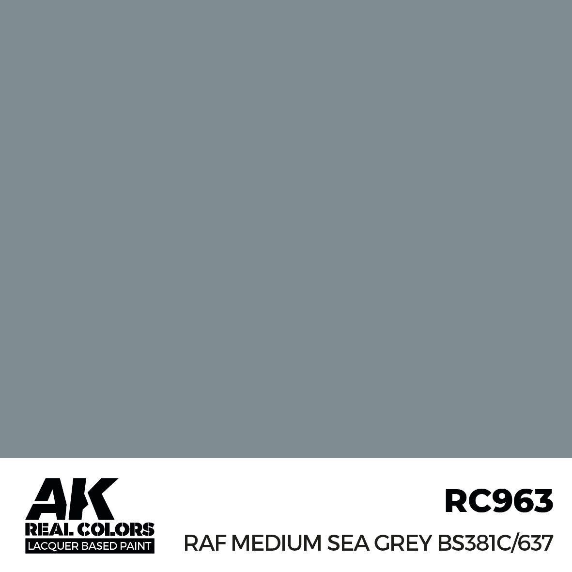 AK Interactive Real Colors RAF Medium Sea Grey BS381C/637 17ml