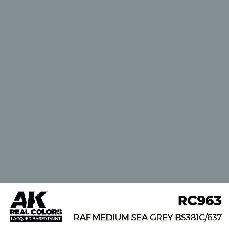 AK Interactive Real Colors RAF Medium Sea Grey BS381C/637 17ml