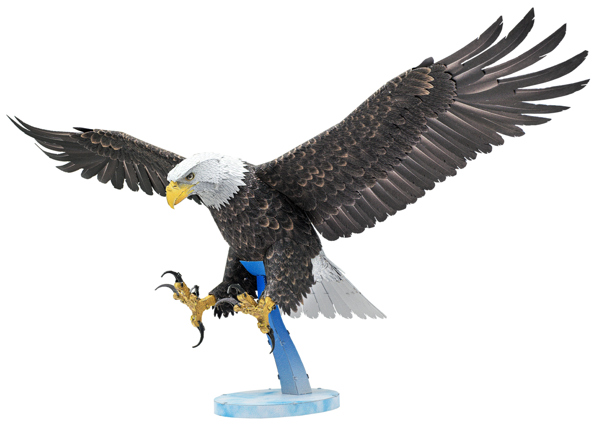 Metal Earth  American Bald Eagle