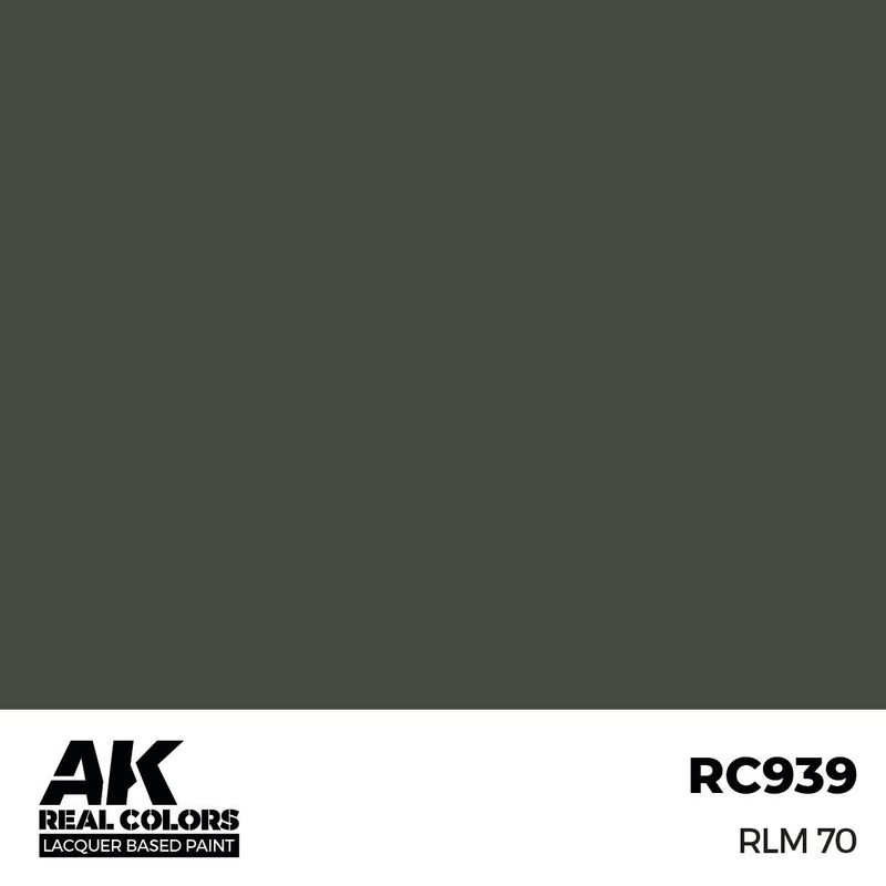 AK Interactive Real Colors RLM 70 17ml