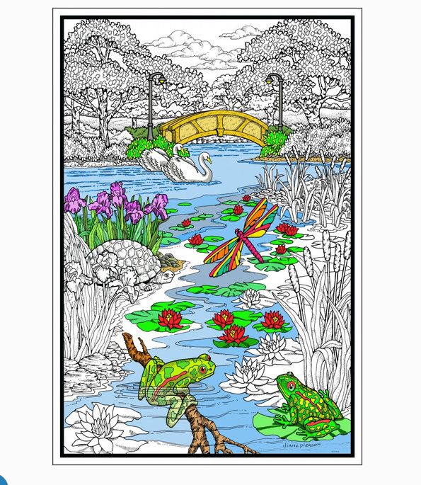 Stuff To Color Pond In The Park - Big Coloring Poster