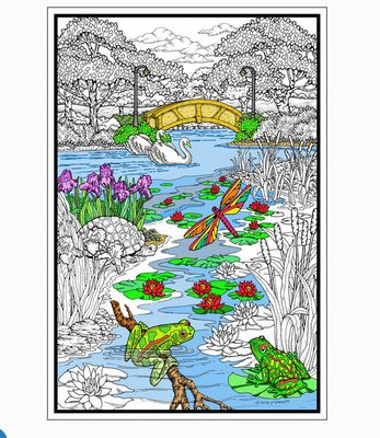 Stuff To Color Pond In The Park - Big Coloring Poster