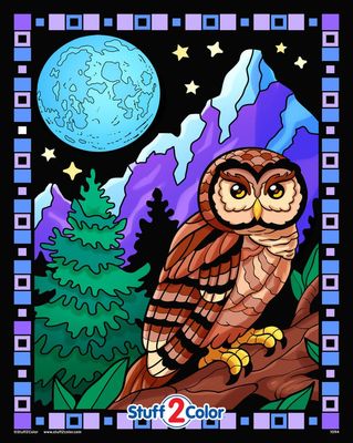 Stuff To Color Midnight Owl Fuzzy Coloring Poster