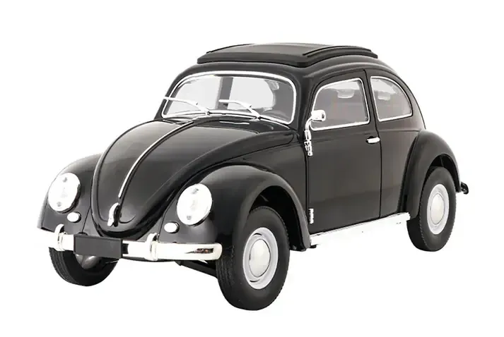 RC Pro 1/16 Mini R/C Beetle