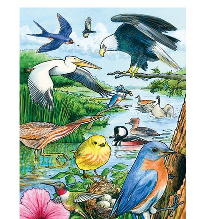 Cobble Hill North American Birds 35 piece Tray Puzzle