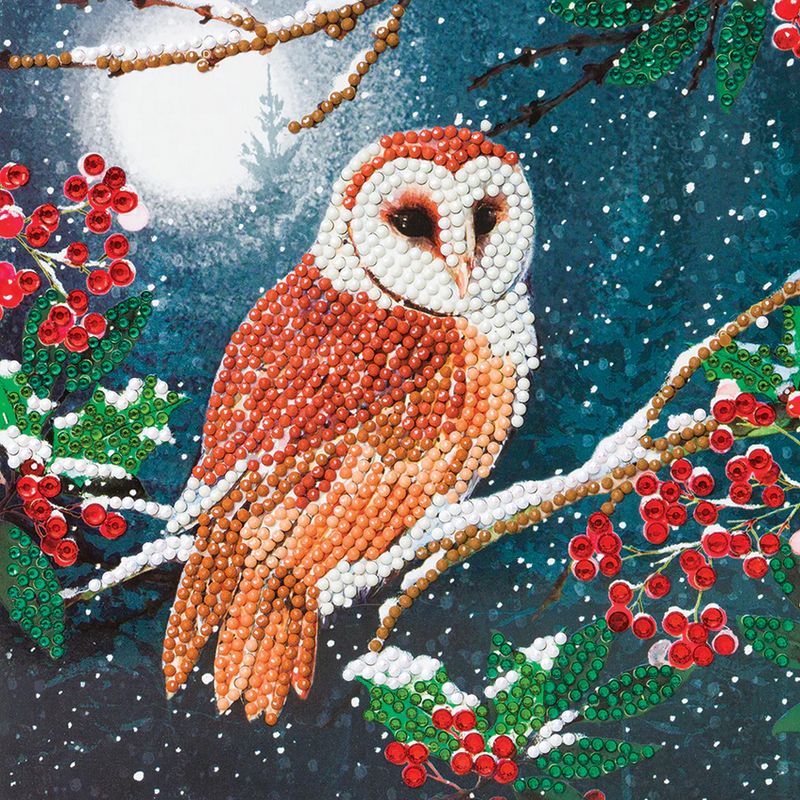 Craft Buddy Barn Owl Crystal Art Card Kit