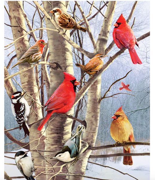 Cobble Hill Winter Birds 1000 piece
