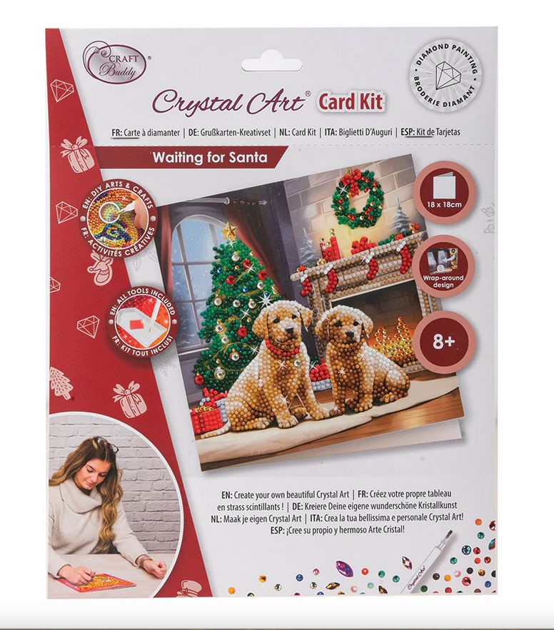 Craft Buddy Waiting for Santa Crystal Art Card Kit