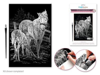 Craft Medley Deluxe Engraving Art DIY Kit Metallic Horses