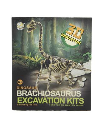 Imex Model Brachiosaurus Paleontology Kit