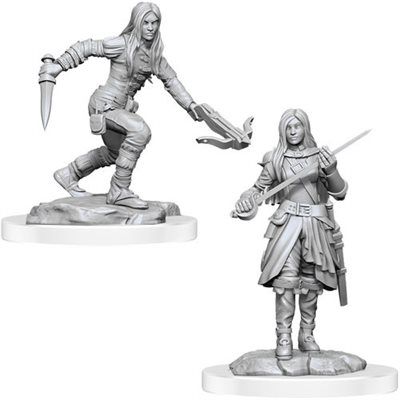 D&amp;D Nolzur Marvelous Miniatures: Wave 17: Half-Elf Rogue Female
