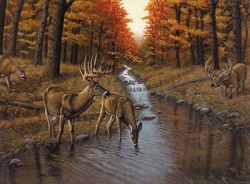 Symond's Creek - Paint by Number