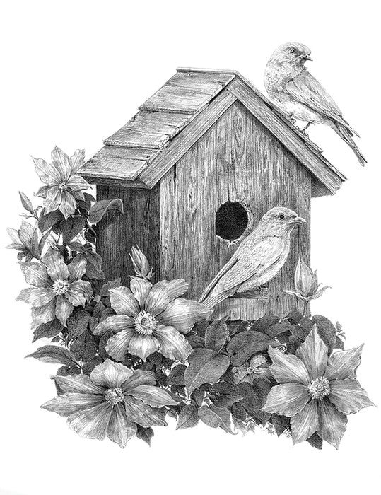 Royal &amp; Langnickel Birdhouse Sketching Kit