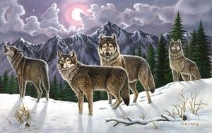 Wolves Paint By Number