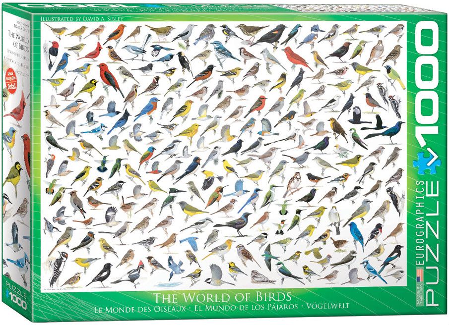 Eurographics The World of Birds by Sibley 1000 piece