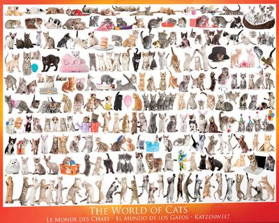 Eurographics The World of Cats 1000 piece