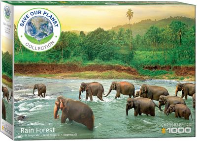 Eurographics Rainforest 1000 piece
