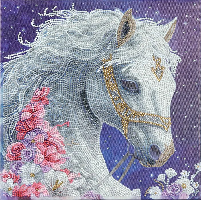 Craft Buddy Crystal Art Mounted Kit Medium Mystic Beauty