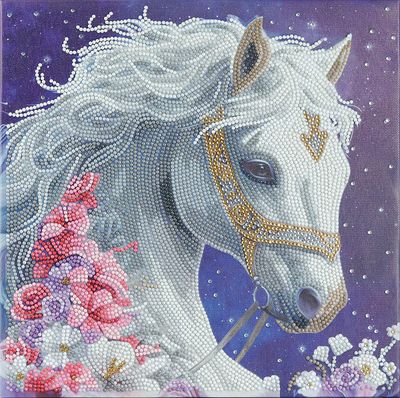 Craft Buddy Crystal Art Mounted Kit Medium Mystic Beauty