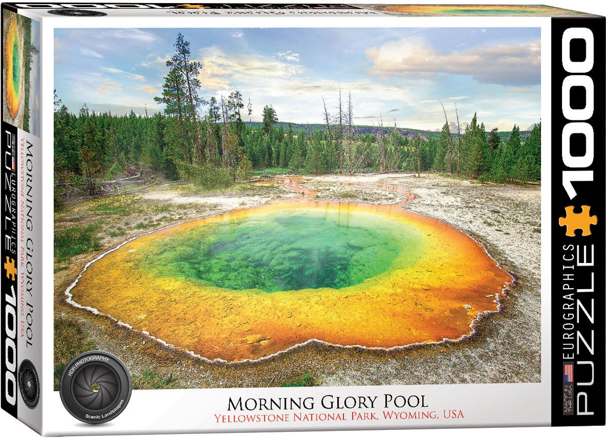 Eurographics Morning Glory Pool 1000 piece