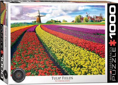 Eurographics Tulip Fields Netherlands 1000 piece