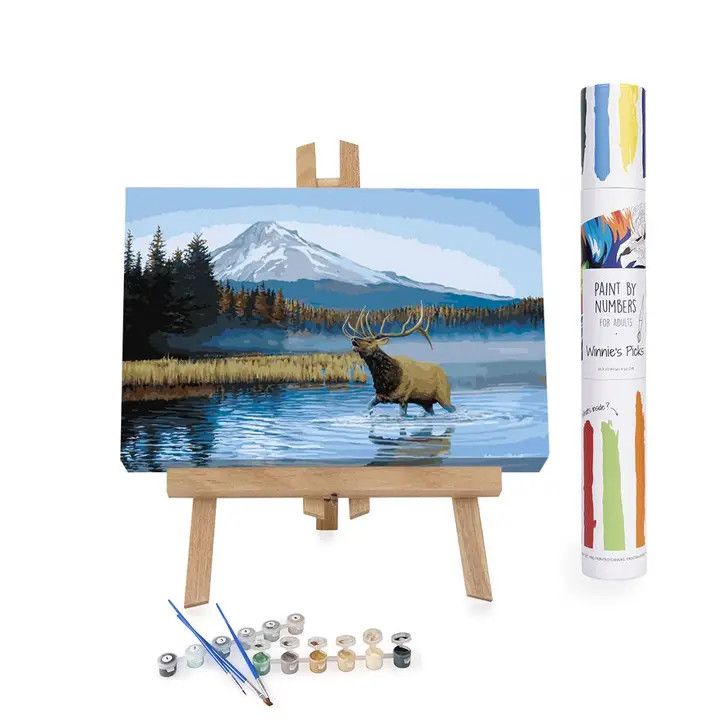 Winnies Picks Paint by Numbers Art Kit Taking Charge 16x24in