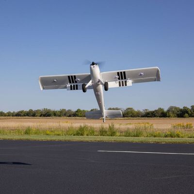E Flite Timber 10-Year Anniversary Edition BNF Basic