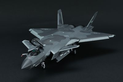 Meng 1/48 Chinese J-20 Stealth Fighter